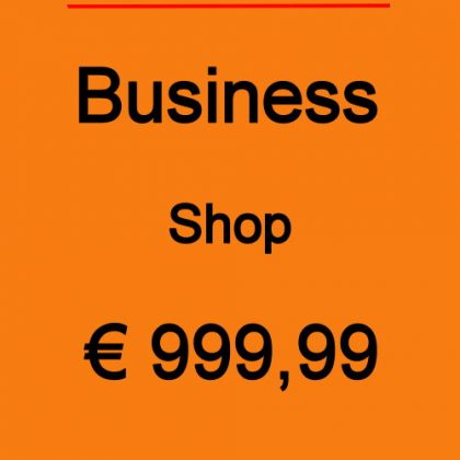 Dives Webseite Business Shop 2020